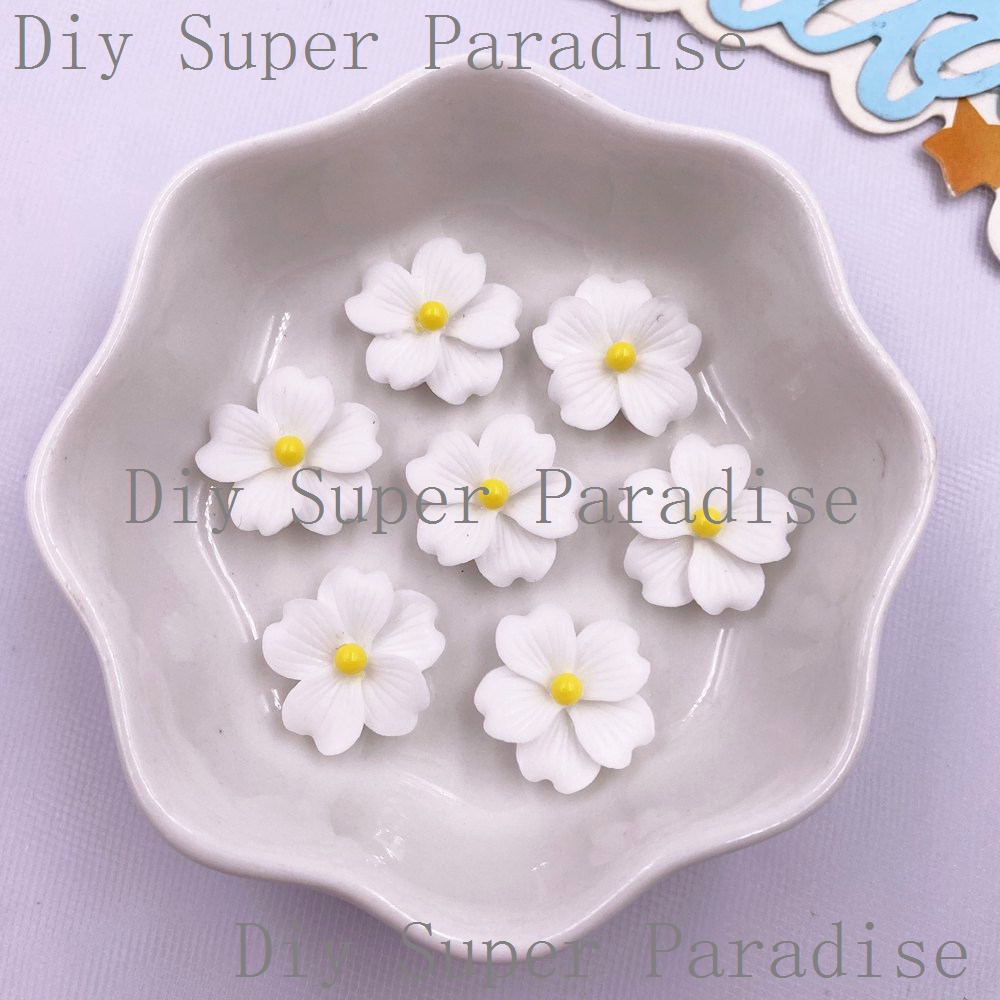 50 Stuks Hars Kleurrijke 16mm  - Paradise Jewelry & Watches Llc recensie en prijs